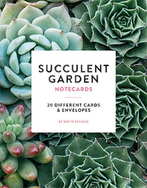 Succulent Garden Boxed Notecards