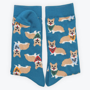 Socks - Corgis