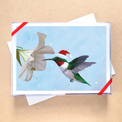 Boxed Holiday Cards - Hummingbird