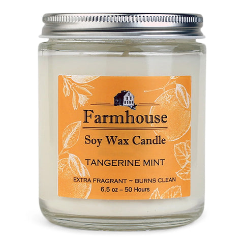 Candle Jar - Tangerine Mint
