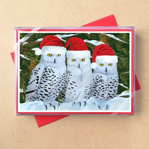 Boxed Holiday Cards - Three Owls