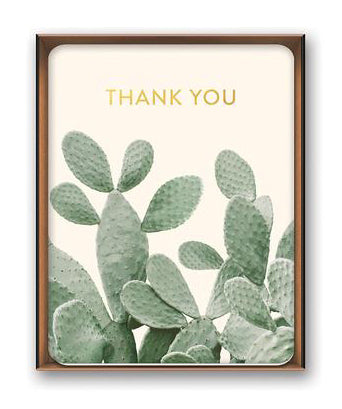 Boxed TY Cards - Cactus