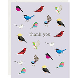 Boxed TY Cards - Birds