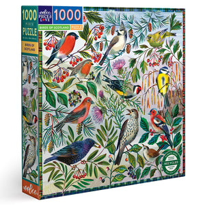 1000 piece puzzle - Birds of Scotland