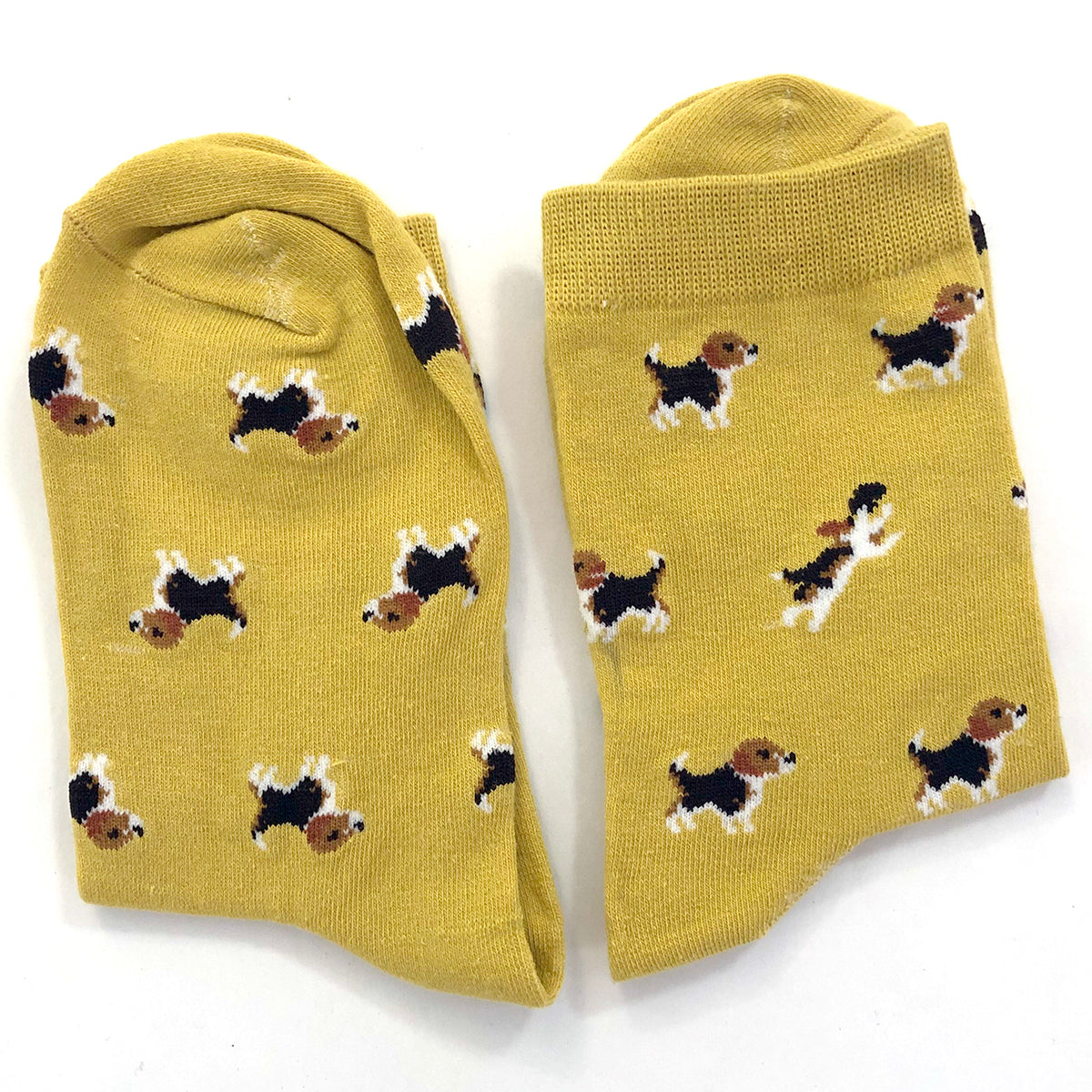 WS - Little Dog Socks - Gold